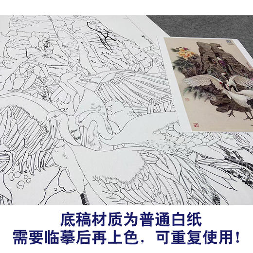 【大彩图】窦绅卿工笔画白描底稿《吉瑞图》仙鹤临摹勾线花鸟线稿HN11 商品图3