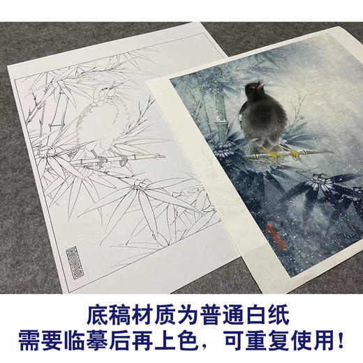 【大彩图】李晓明工笔画白描底稿斗方小品《八哥雪竹图》临摹勾线花鸟线稿K117 商品图3