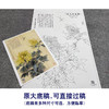【大彩图】李晓明工笔画白描底稿《菊花草虫》临摹勾线花鸟线稿K120 商品缩略图1