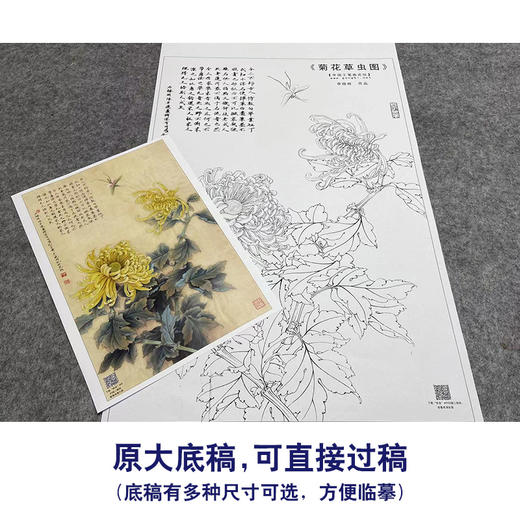 【大彩图】李晓明工笔画白描底稿《菊花草虫》临摹勾线花鸟线稿K120 商品图1