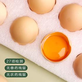 康在此有机黑鸡蛋 无沙门氏菌 橘黄色大蛋黄 高蛋白 30 枚/箱