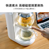 鸣盏养生壶泡茶机电水壶热水壶烧水壶电热水壶茶壶迷你玻璃花茶壶速热台式茶饮机MZ-1151 HF 商品缩略图3