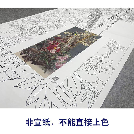 【大彩图】窦绅卿工笔画白描底稿《华堂益多图》锦鸡临摹勾线花鸟线稿HN07 商品图2