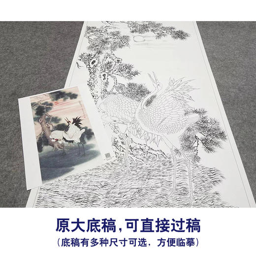 【大彩图】董希源工笔画白描底稿《松鹤朝阳》白鹤临摹勾线花鸟线稿HN06 商品图1