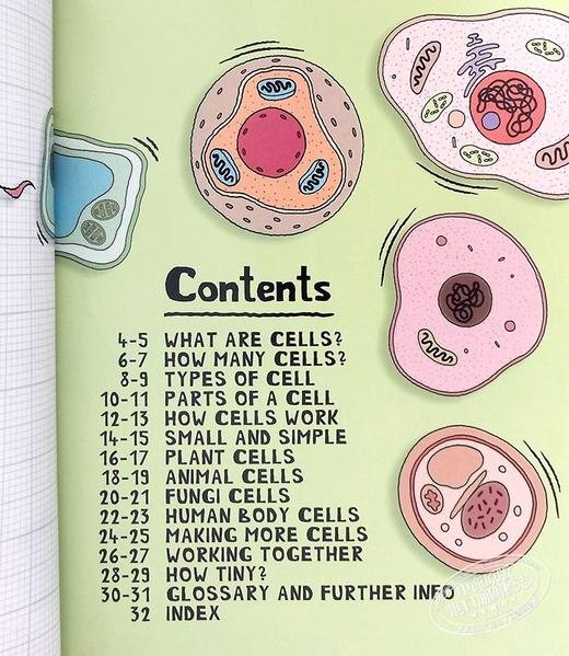 【中商原版】太喜欢科学了 微小科学系列 细胞 英文原版 Tiny Science Cells Anna Claybourne 科普 科学 商品图4