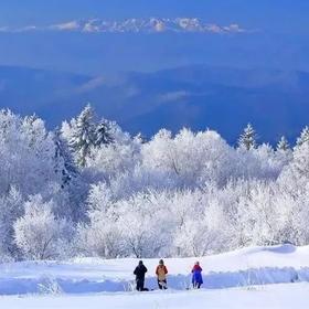 【长白山】4岁起报，亲子同行。一次解锁20+冰雪组合玩法！满足你关于冬天的所有想象！