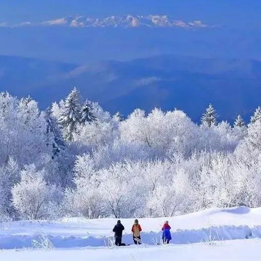 【长白山】4岁起报，亲子同行。一次解锁20+冰雪组合玩法！满足你关于冬天的所有想象！ 商品图0