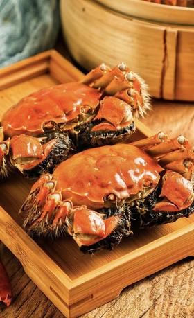 大厨管家 黄浦江大闸蟹