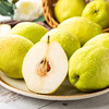 新鲜水果 新疆库尔勒香梨3斤 5斤 （大香梨） 商品缩略图4