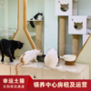 【幸运土猫】领养中心项目众筹通道｜定期发送电子刊，反馈项目工作进展 商品缩略图9