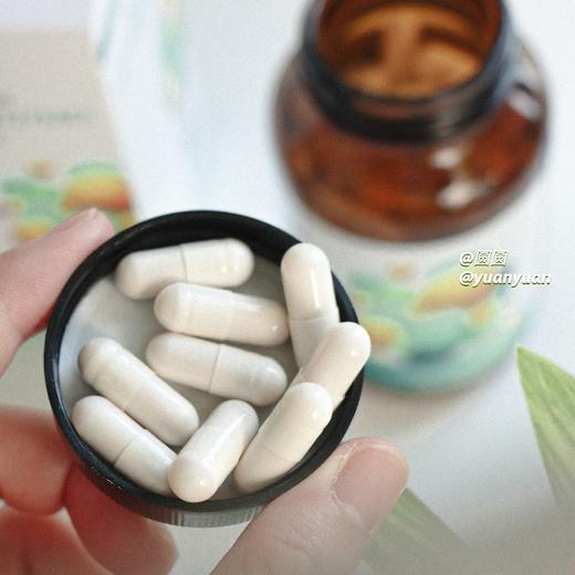 捷克 N-Medical生命酶代谢强吸收减重膳食胶囊120粒 商品图5