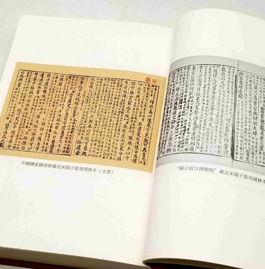 《文选旧注辑存》，布面精装，全20册，刘跃进主编，凤凰出版社2017年一版一印，定价3500元，售价1050元 商品图7