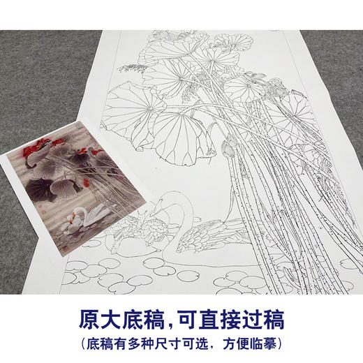 【大彩图】窦绅卿工笔画白描底稿《清露微风》荷花临摹勾线花鸟线稿HN12 商品图1