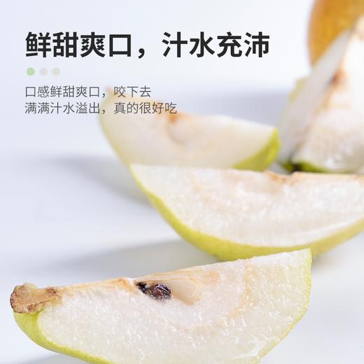 新鲜水果 新疆库尔勒香梨3斤 5斤 （大香梨） 商品图1