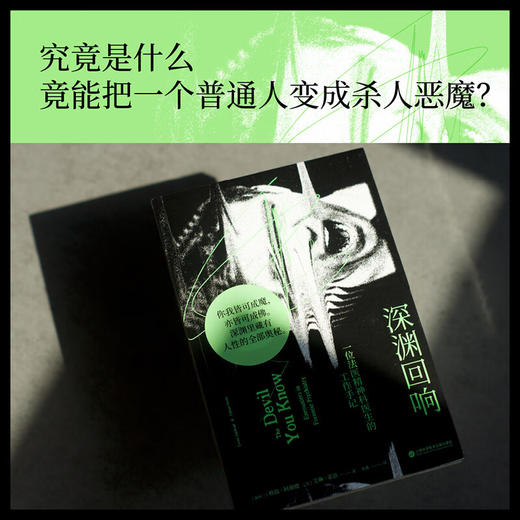 深渊回响  一位法医精神科医生的工作手记 格温·阿谢德等 著 心理学 商品图3