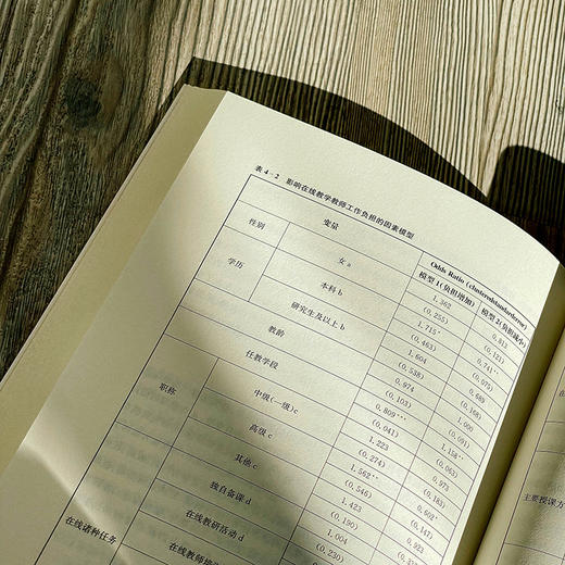 教师减负：理论、实践与政策 赵健 吴旻瑜等著 中小学教师减负 商品图13