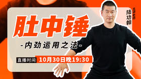陆功翰传武秘籍第四期——肚中锤