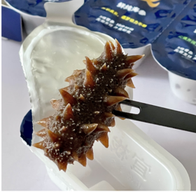  【养生】吃海参，为何首选大连海参？ 