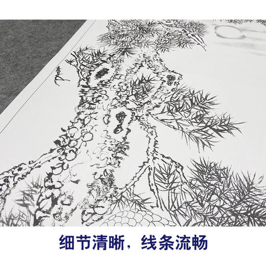 【大彩图】董希源工笔画白描底稿《松鹤朝阳》白鹤临摹勾线花鸟线稿HN06 商品图4