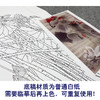 【大彩图】窦绅卿工笔画白描底稿《清露微风》荷花临摹勾线花鸟线稿HN12 商品缩略图3