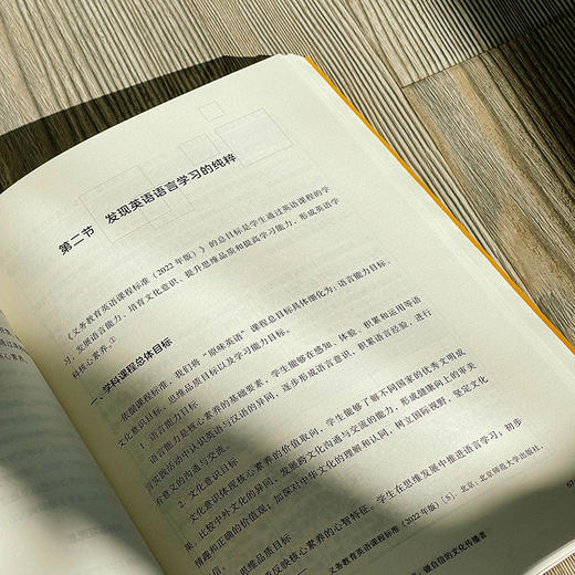 实践型学科课程设计与实施 陈文芳主编 课程治理新范式丛书 商品图12