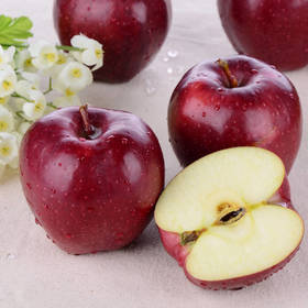 甘肃护山花牛苹果秒杀