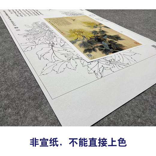 【大彩图】李晓明工笔画白描底稿《菊花草虫》临摹勾线花鸟线稿K120 商品图2