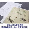 【大彩图】李晓明工笔画白描底稿斗方小品《草虫册页》临摹勾线花鸟线稿K119 商品缩略图3