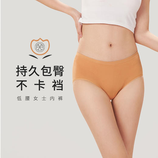 都市丽人时尚系列无缝面料一体美臀平角女士内裤低腰平角裤LK35N4 商品图0