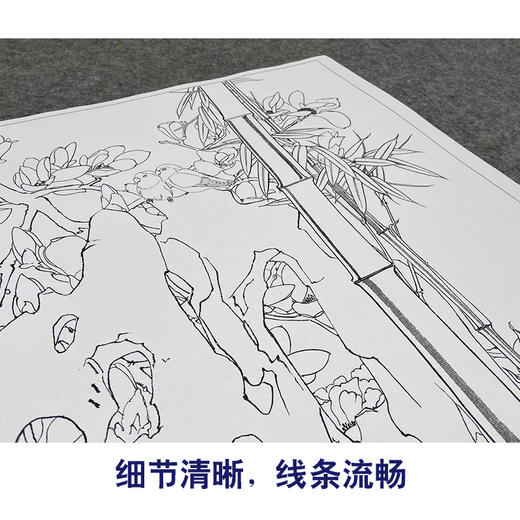 【大彩图】窦绅卿工笔画白描底稿《雅园春芳好》仙鹤临摹勾线花鸟线稿HN13 商品图4