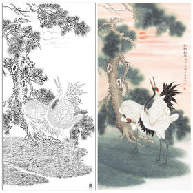 【大彩图】董希源工笔画白描底稿《松鹤朝阳》白鹤临摹勾线花鸟线稿HN06