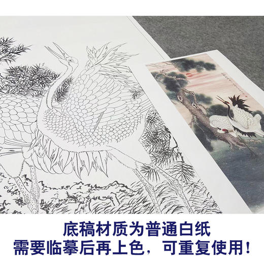 【大彩图】董希源工笔画白描底稿《松鹤朝阳》白鹤临摹勾线花鸟线稿HN06 商品图3