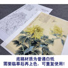 【大彩图】李晓明工笔画白描底稿《菊花草虫》临摹勾线花鸟线稿K120 商品缩略图3