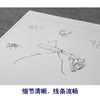 【大彩图】李晓明工笔画白描底稿斗方小品《草虫册页》临摹勾线花鸟线稿K119 商品缩略图4