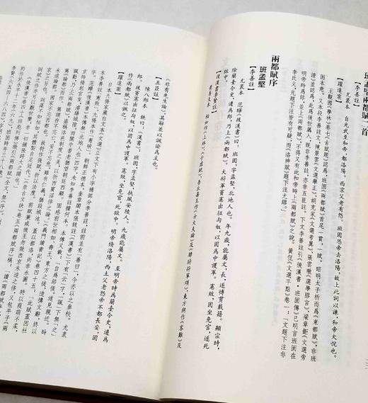 《文选旧注辑存》，布面精装，全20册，刘跃进主编，凤凰出版社2017年一版一印，定价3500元，售价1050元 商品图12