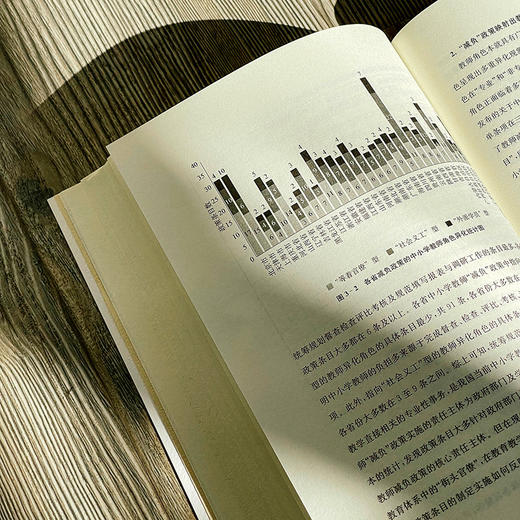 教师减负：理论、实践与政策 赵健 吴旻瑜等著 中小学教师减负 商品图11