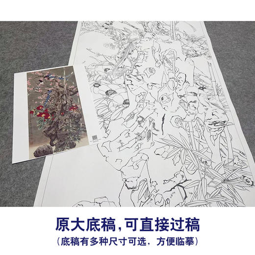 【大彩图】窦绅卿工笔画白描底稿《华堂益多图》山茶绶带鸟花鸟线稿HN08 商品图1