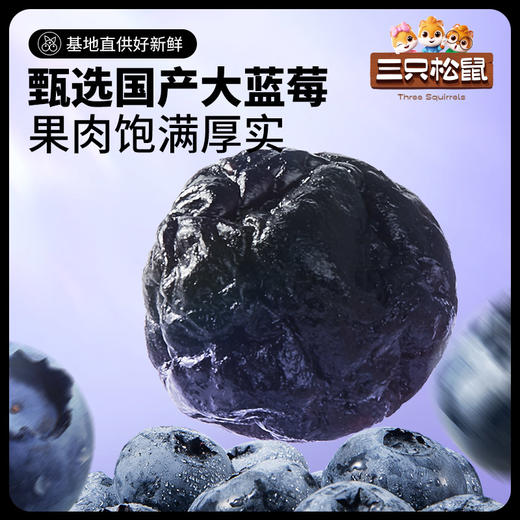 【会员满减专区】三只松鼠_ 线下散称_蓝莓干/++/16g 商品图2