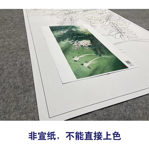 【大彩图】李晓明工笔画白描底稿《紫藤绶带图》临摹勾线花鸟线稿K123 商品图2