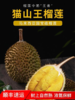马来西亚液氮冷冻猫山王榴莲D197【2号果】【实物/礼券】 商品缩略图1