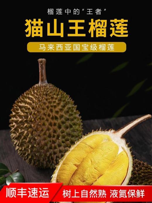 马来西亚液氮冷冻猫山王榴莲D197【2号果】【实物/礼券】 商品图1