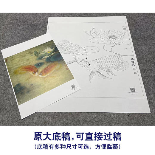 【大彩图】李晓明工笔画白描底稿《双鱼睡莲图》荷花鲤鱼临摹勾线花鸟线稿K116 商品图1