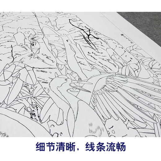 【大彩图】窦绅卿工笔画白描底稿《吉瑞图》仙鹤临摹勾线花鸟线稿HN11 商品图4