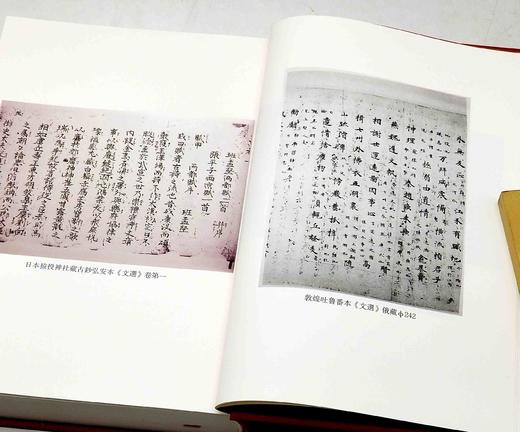 《文选旧注辑存》，布面精装，全20册，刘跃进主编，凤凰出版社2017年一版一印，定价3500元，售价1050元 商品图6