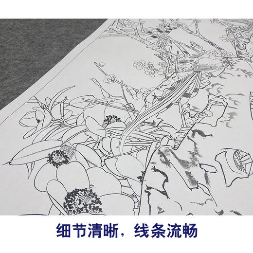 【大彩图】窦绅卿工笔画白描底稿《华堂益多图》山茶绶带鸟花鸟线稿HN08 商品图4