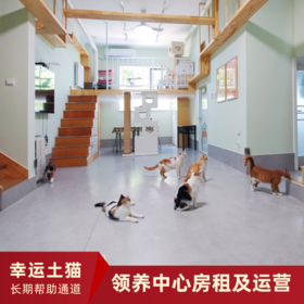 【幸运土猫】领养中心项目众筹通道｜定期发送电子刊，反馈项目工作进展
