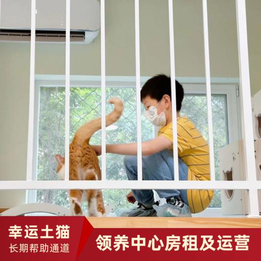 【幸运土猫】领养中心项目众筹通道｜定期发送电子刊，反馈项目工作进展 商品图6