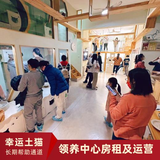 【幸运土猫】领养中心项目众筹通道｜定期发送电子刊，反馈项目工作进展 商品图5