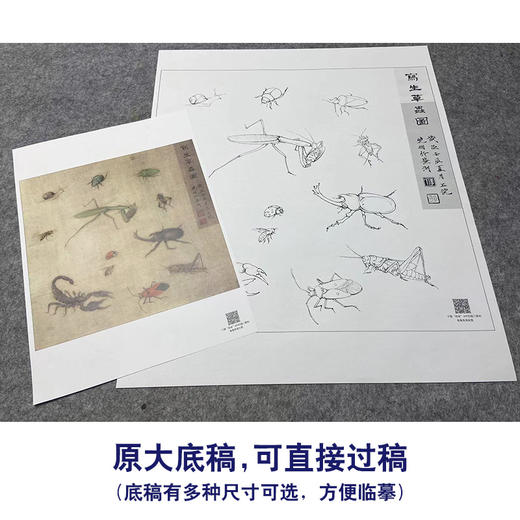 【大彩图】李晓明工笔画白描底稿斗方小品《草虫册页》临摹勾线花鸟线稿K119 商品图1