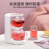 鸣盏养生壶泡茶机电水壶热水壶烧水壶电热水壶茶壶迷你玻璃花茶壶速热台式茶饮机MZ-1151 HF 商品缩略图1